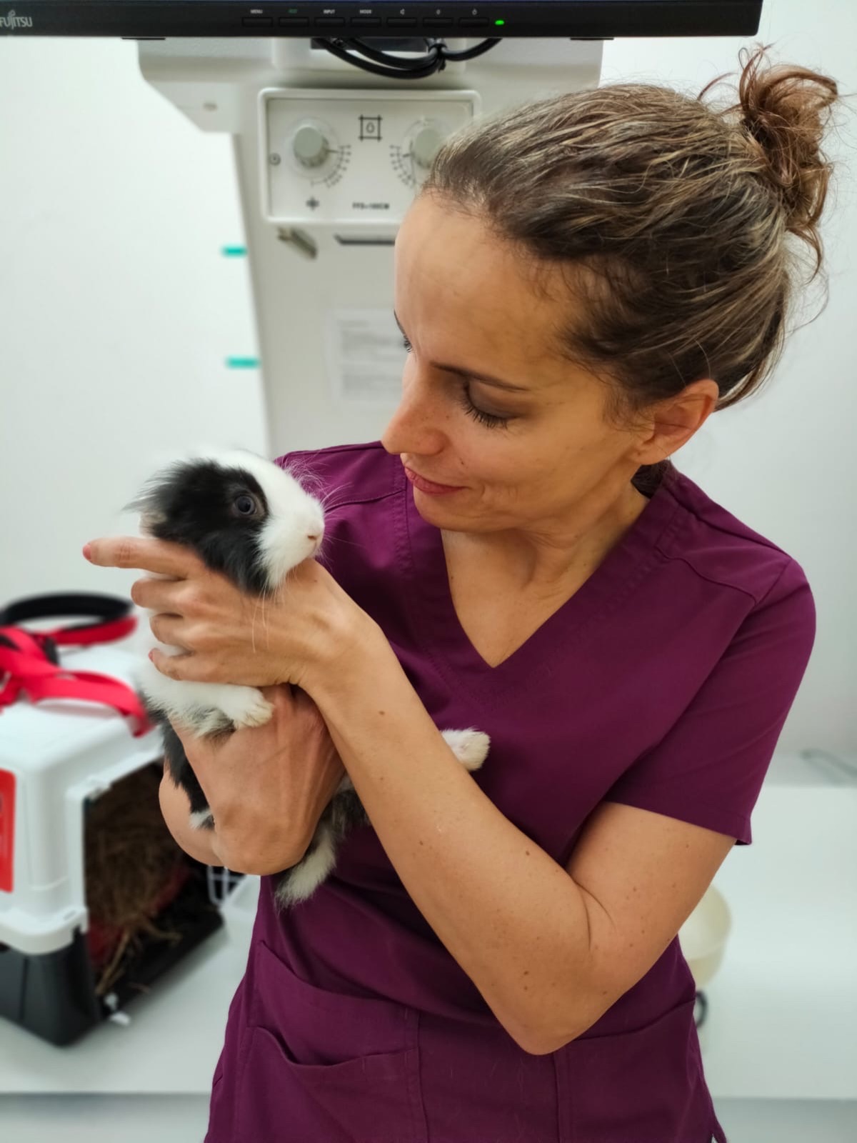 Veterinárny lekár kliniky ZVERLAND Piešťany s pacientom
