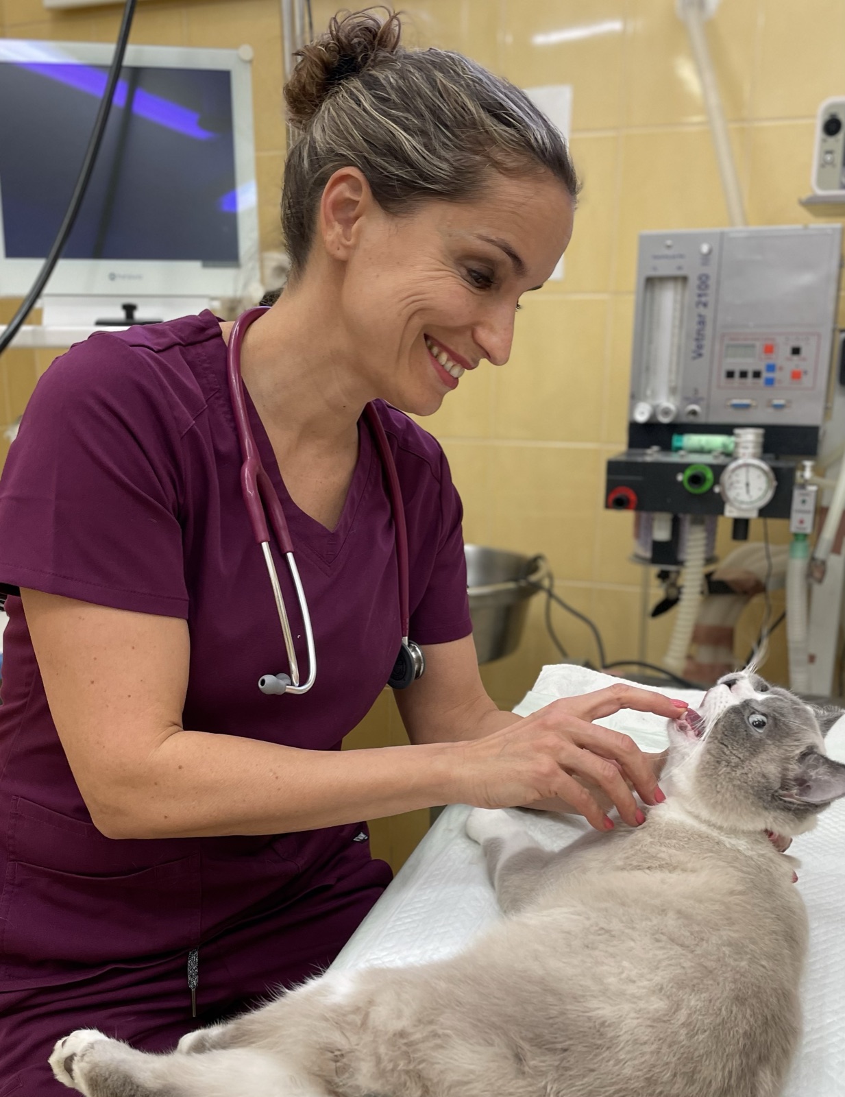 Veterinárna lekárka kliniky ZVERLAND Piešťany s pacientom