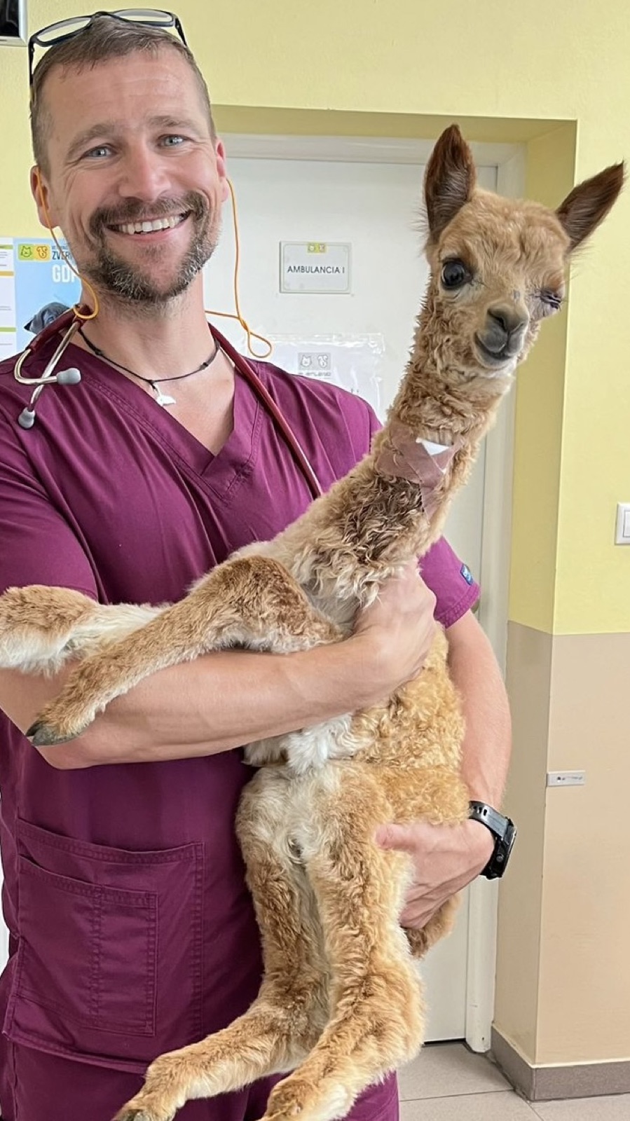 Veterinárny lekár kliniky ZVERLAND Piešťany pri vyšetrení