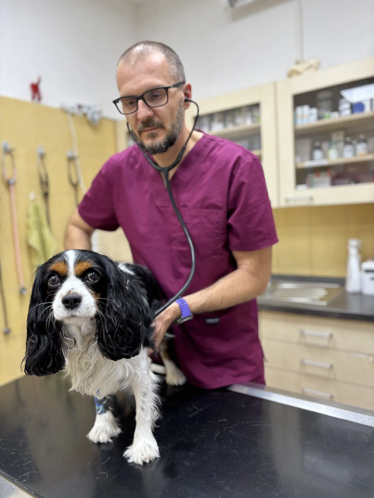 MVDr. Tomáš Schuster pri klinickom vyšetrení pacienta