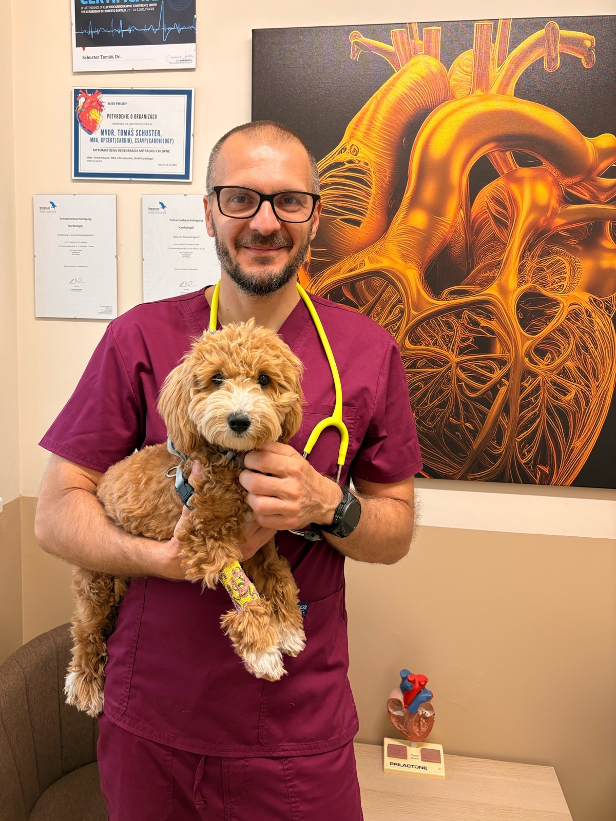 Pacient s lekárom na Veterinárnej klinike ZVERLAND Piešťany